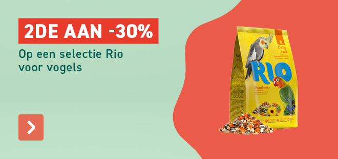 2e aan -30% Rio