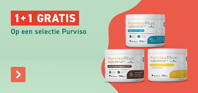 1+1 Purviso Plus