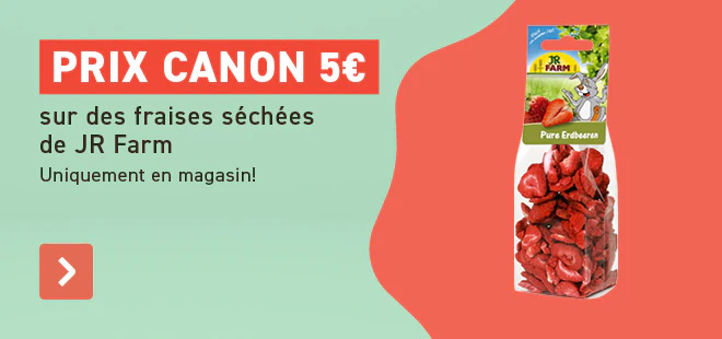 2+1 Selection friandises