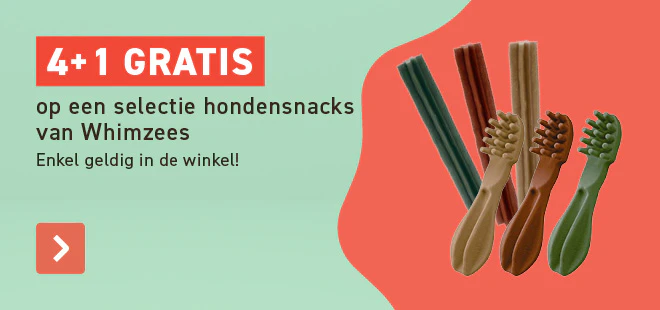 5+1 gratis Nutri Expert