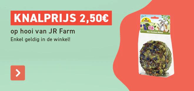 Product in de kijker