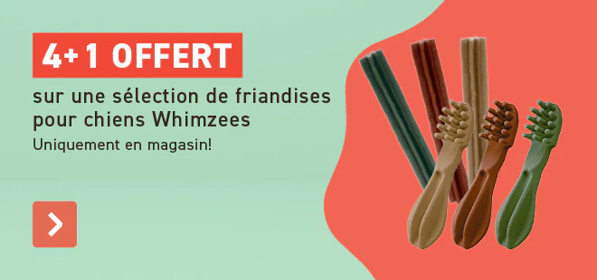 5+1 offert Nutri Expert
