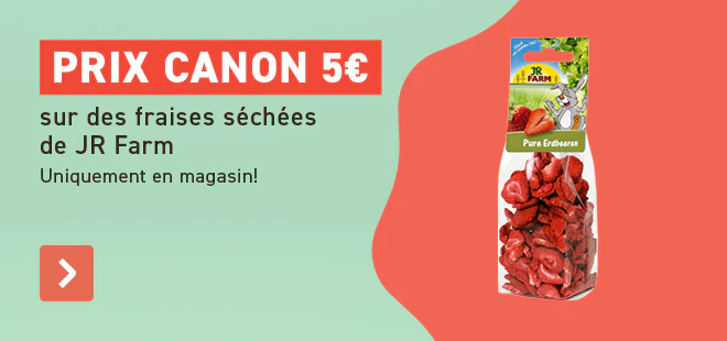 4+1 Offert Barouf