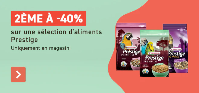 Top produit