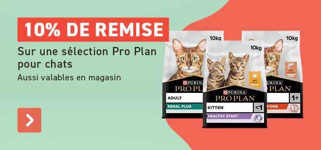 10% sur Pro Plan