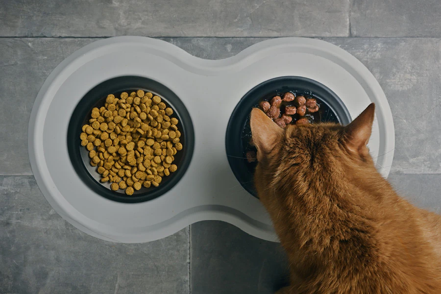 Kat eet droog- & natvoer