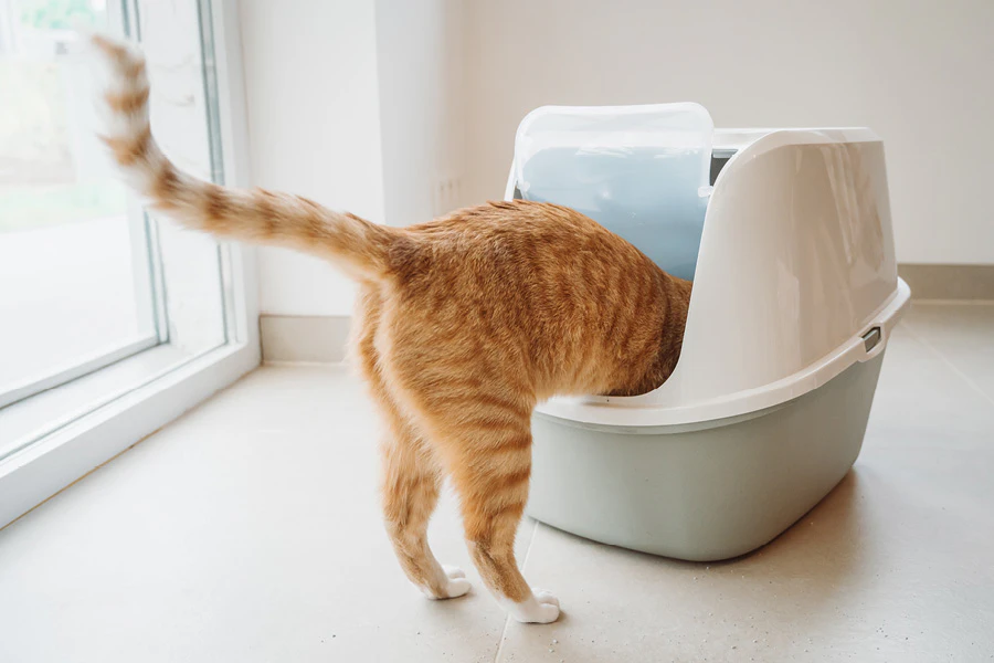 Bac &agrave; liti&egrave;re blanc