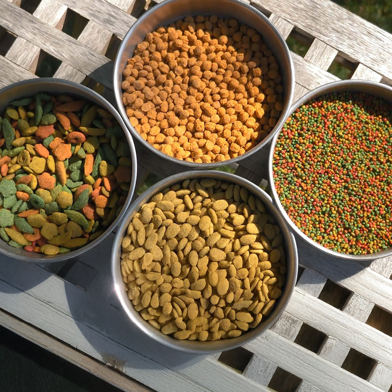 Bols avec différents granulés pour une alimentation optimale des oiseaux de compagnie.