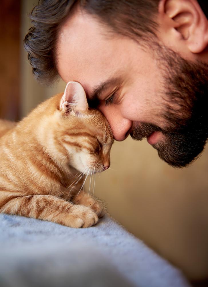 Man legt voorhoofd tegen zijn kat terwijl ze geniet, symbool voor een sterke band en wederzijdse affectie.