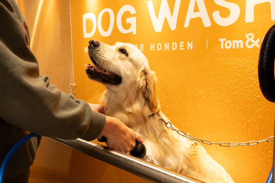 Hond geniet van een deugddoende wasbeurt bij de Tom&Co Dogwash na een fikse herfstwandeling