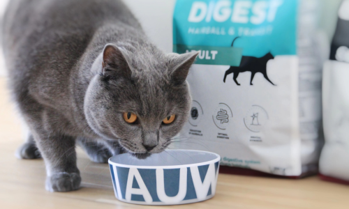 Kattenbrokken Nutri Expert voor katten