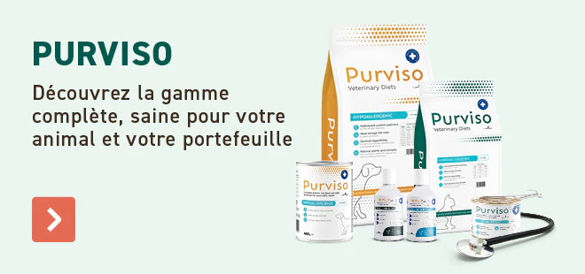 Purviso