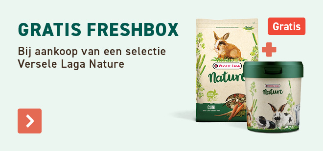 Gratis Freshbox