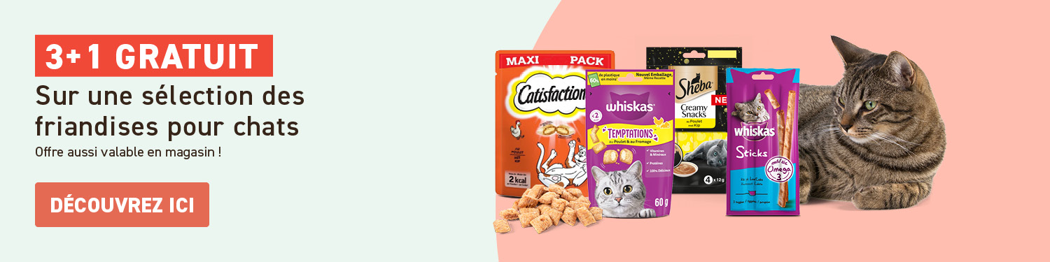 3+1 friandises chats