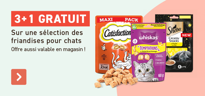 3+1 friandises chats