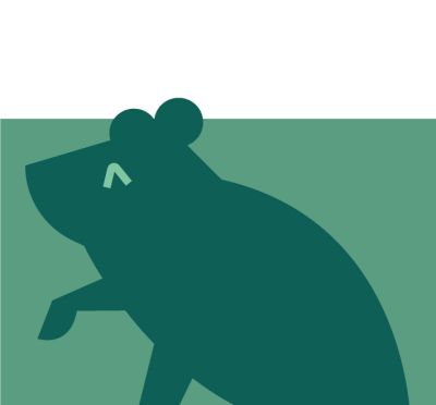 Knaagdieren