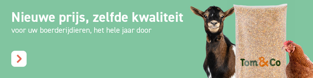 Coloco Tom&Co klantenkaart