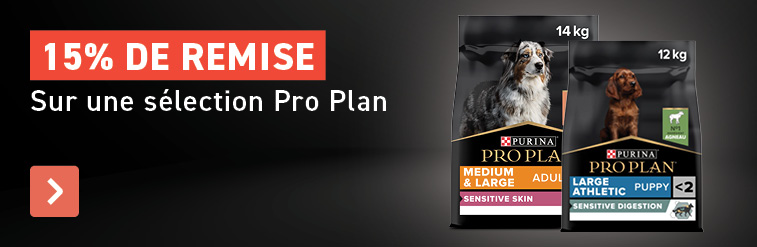 -15% Pro Plan