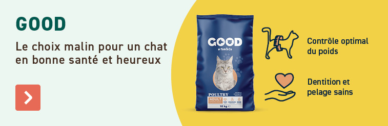 Good pour chat