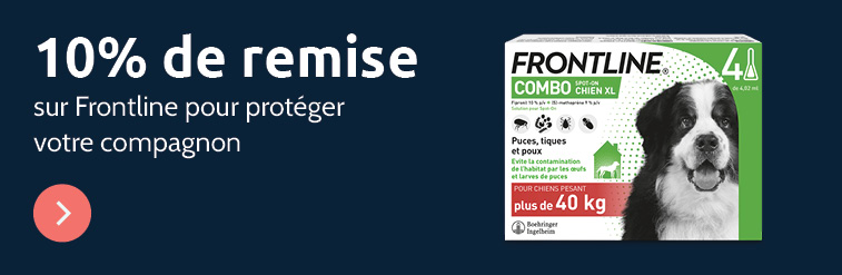 Frontline pour chien
