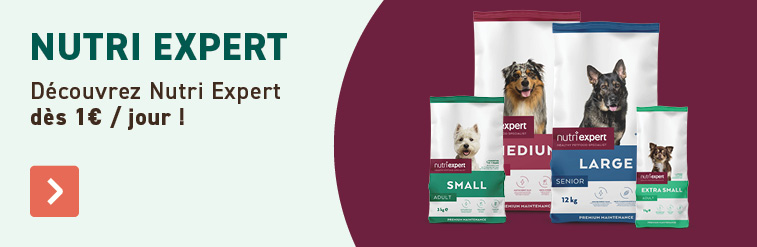 Nutri expert pour chien 
