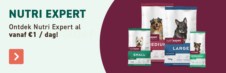 Nutri expert voor hond