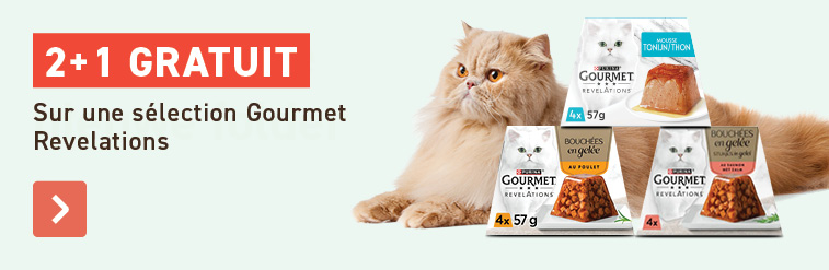 2+1 Gourmet Revelations