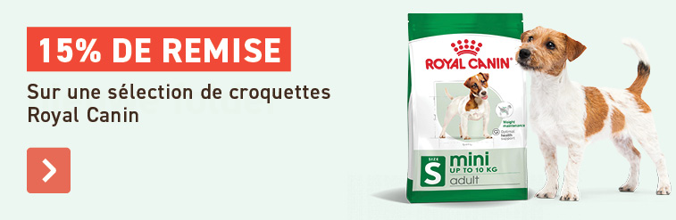 -15% Royal Canin