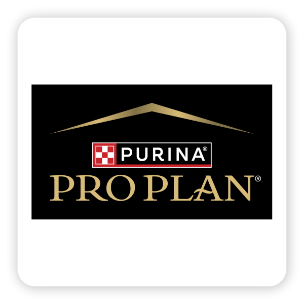 Pro Plan