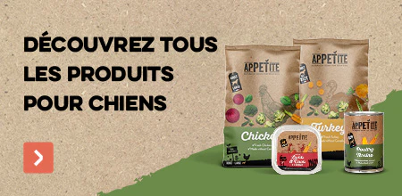 Appetite pour chien