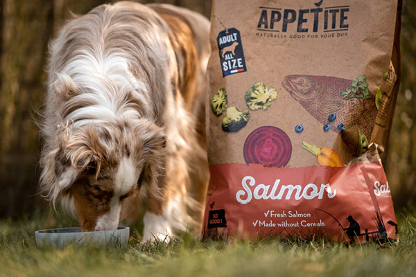 Hond eet Appetite hondenbrokken buiten