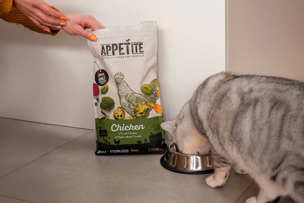 Kat met Appetite droogvoer versie 2