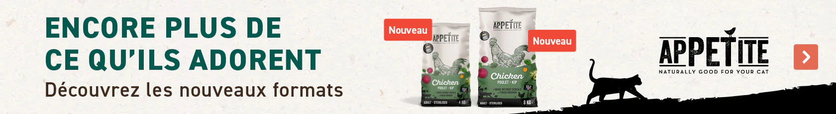 Nouveaux Formats