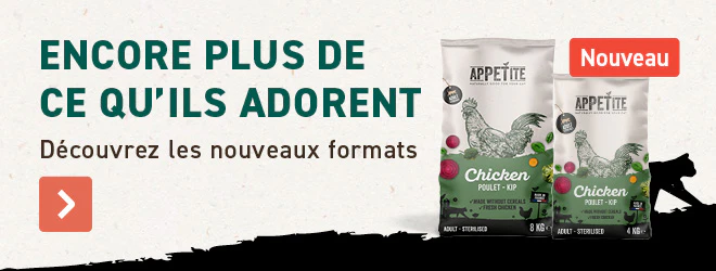 Nouveaux Formats