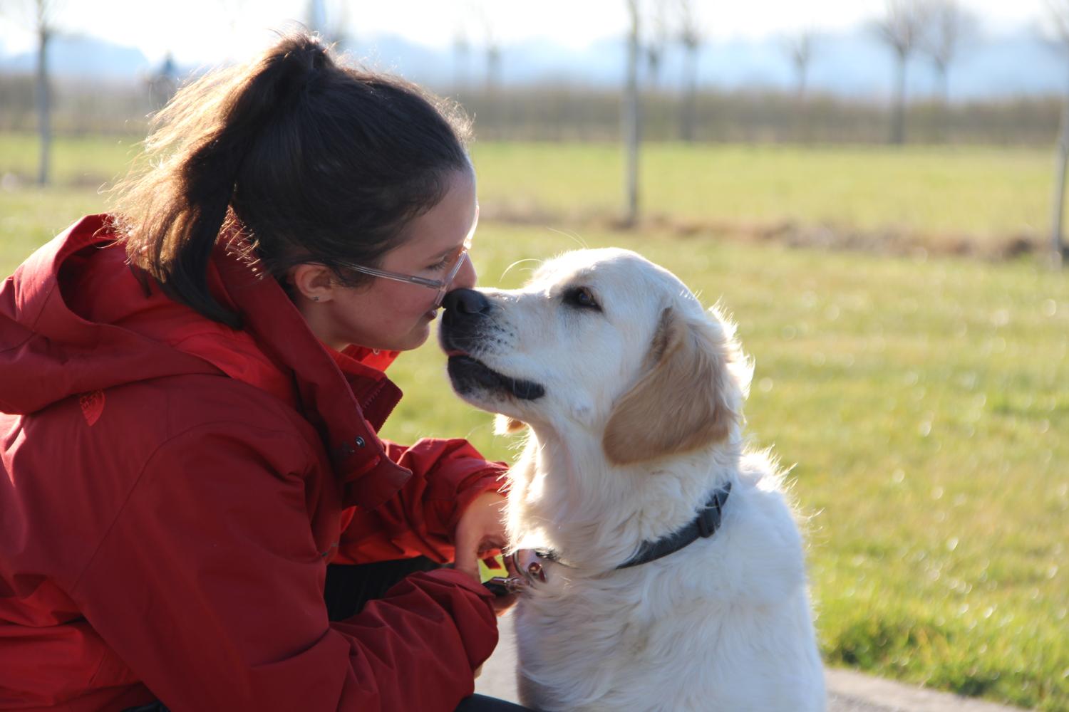 Vrouw en jonge hond tonen een hechte band tijdens een wandeling in de natuur, symbool voor de rol van gastgezinnen.