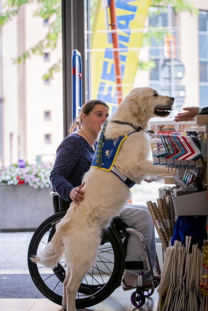 Assistentiehond overhandigt portefeuille aan kassierster terwijl vrouw in rolstoel afrekent, toont training en zelfstandigheid.