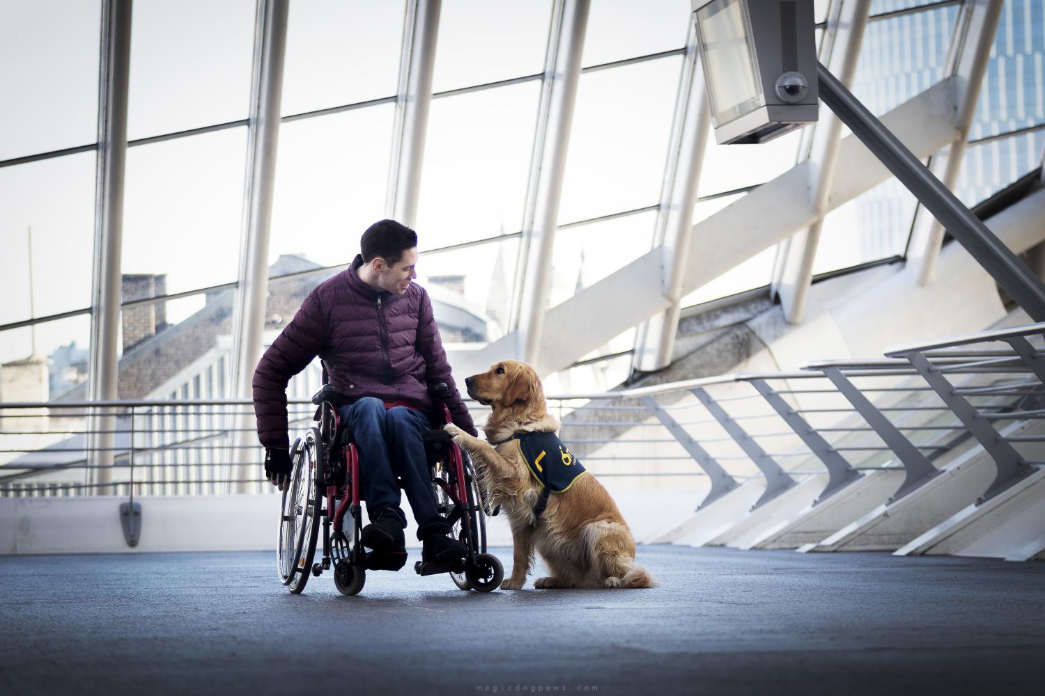 Man in rolstoel met assistentiehond in openbaar gebouw, symbool voor hun cruciale rol én confrontatie met ontoegankelijkheid.