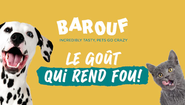 Barouf, de smaak die je gek maakt