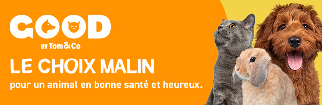 Good, le choix malin pour un animal en bonne santé