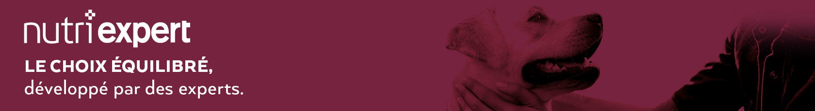 Nutri expert - le choix équilibré