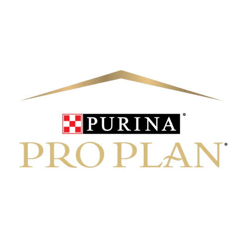 Pro Plan