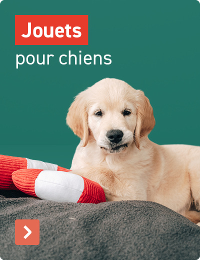 Speelgoed voor je hond