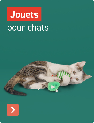 Speelgoed voor je kat