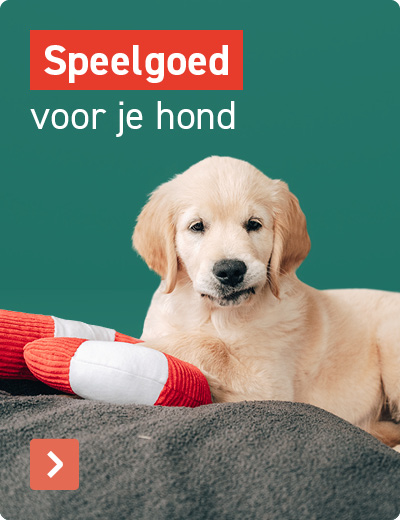 Speelgoed voor je hond
