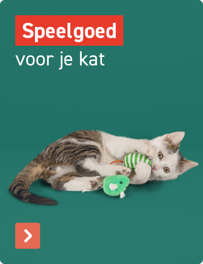 Speelgoed voor je kat