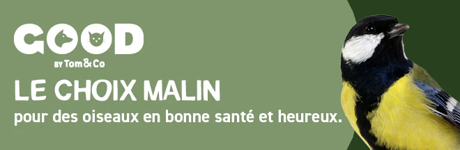 Good - De slimme keuze voor een gezond & gelukkig knaagdier