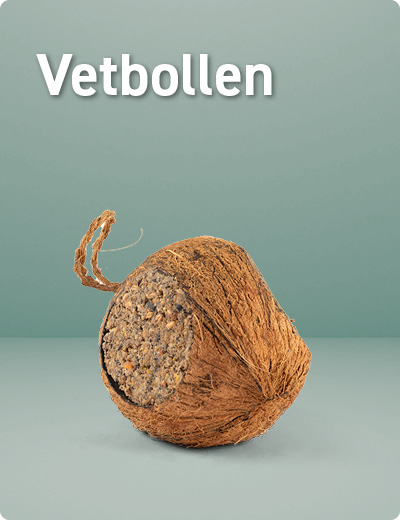 Good Vetbollen 