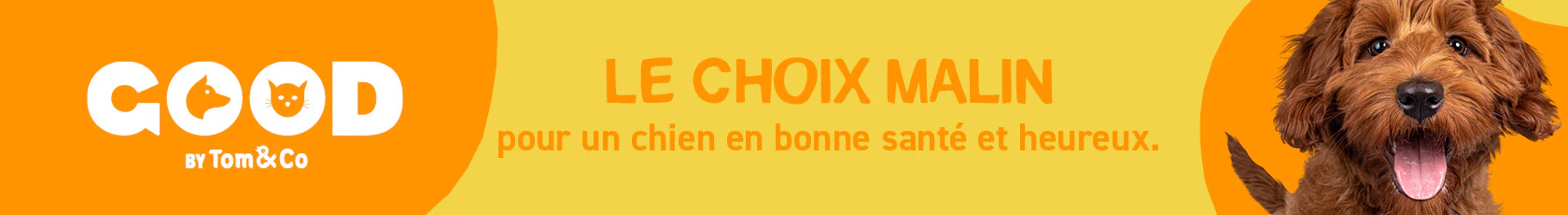 Nutri expert - de evenwichtige keuze 