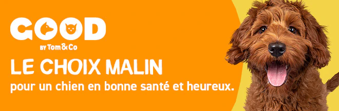 Nutri expert - de evenwichtige keuze 