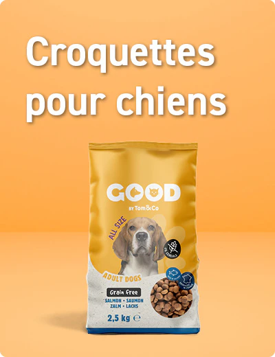 Croquettes pour chien
